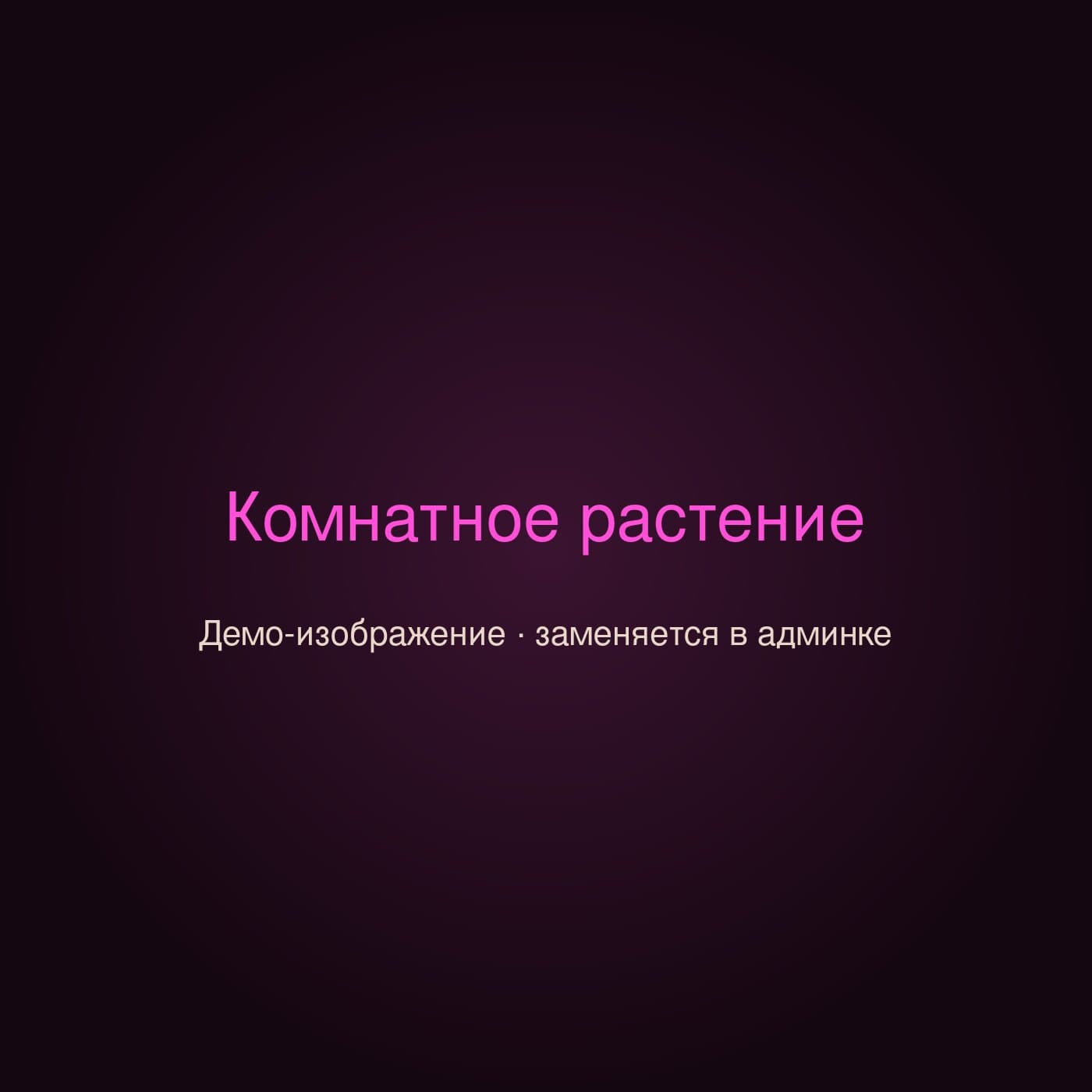 Демонстрационное изображение товара «Комнатное растение» магазина «Цветы 24»